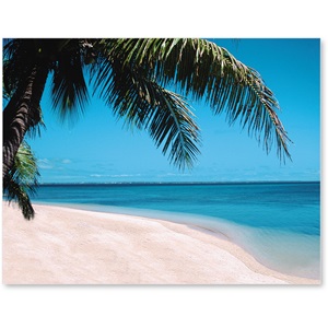 Beach 1 Postcards | PaperDirect's