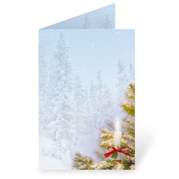 Christmas & Holiday Programs