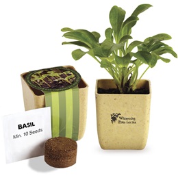2.5 in x 3 in Custom Appreciation Planter with Basil Seeds