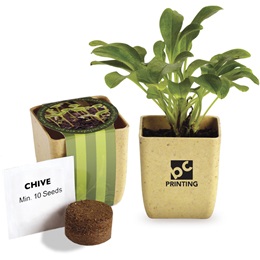 2.5 in x 3 in Custom Appreciation Planter with Chive Seeds