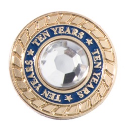 10 Years of Service Class Ring Pin
