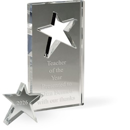 Removable Star 6 in x 3.25 in Acrylic Trophy Award