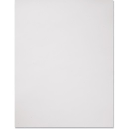 8.5 in x 11 in Environment Birch Letter Papers, Pack of 100