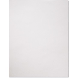 8.5 in x 11 in Environment Moonrock Letter Papers, Pack of 100