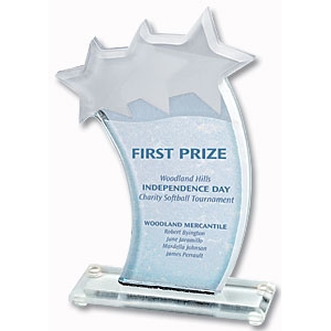 The Kudos™ Collection Shooting Star Award by PaperDirect