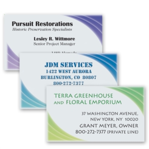 Pursuit Business Cards by PaperDirect