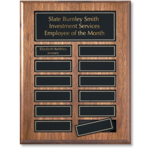 Perpetual Award Plaque by PaperDirect