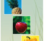 Perennial Greens 3-Panel Brochures