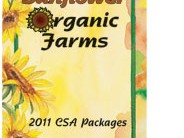 Sunflower Garden 3 Panel Brochures