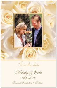 Cream Roses Postcards