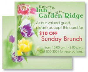 Fresh Tulips Postcards
