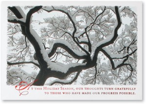 Majestic Tree Greeting Cards