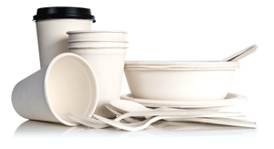 disposable tableware