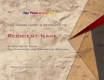 Slate Tan Modern Certificates by PaperDirect