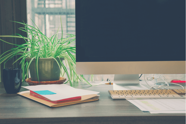 best plants for office desks