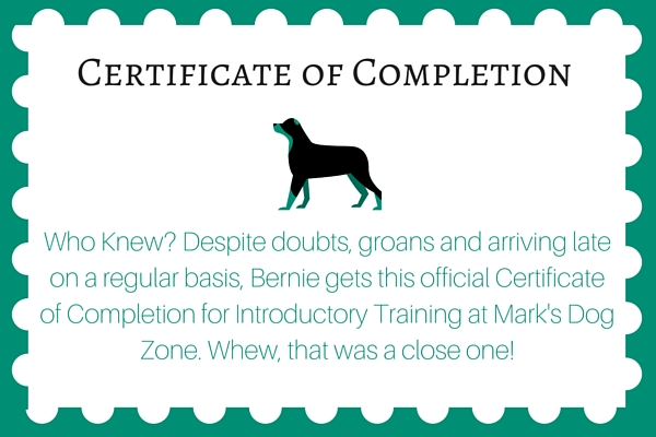 8 Reasons to always offer certificates of completion for your