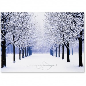 frosty-park-trees-holiday-greeting-card