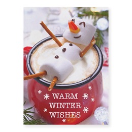 Warm Winter Wishes Holiday Card