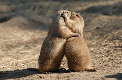 What to NOT do in your cubicle- #4 Kissing Your Hot coworker 