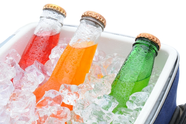 picnic cooler 