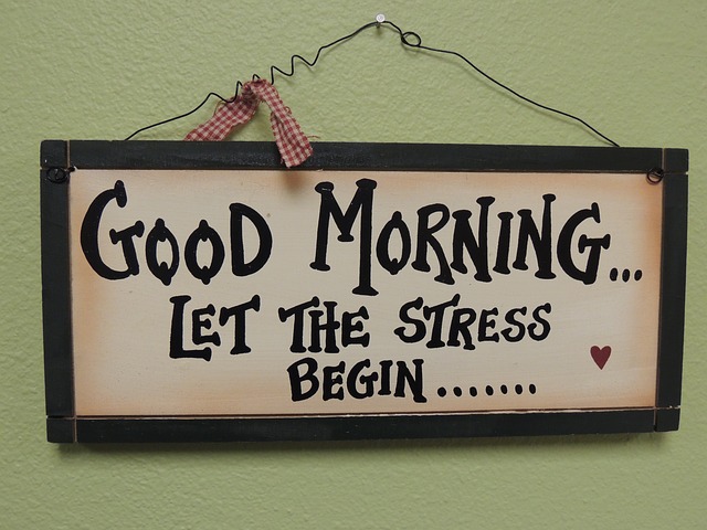 stress quote
